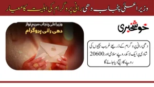 The Punjab government, under the leadership of Chief Minister Maryam Nawaz Sharif, has launched the Dhee Rani Program